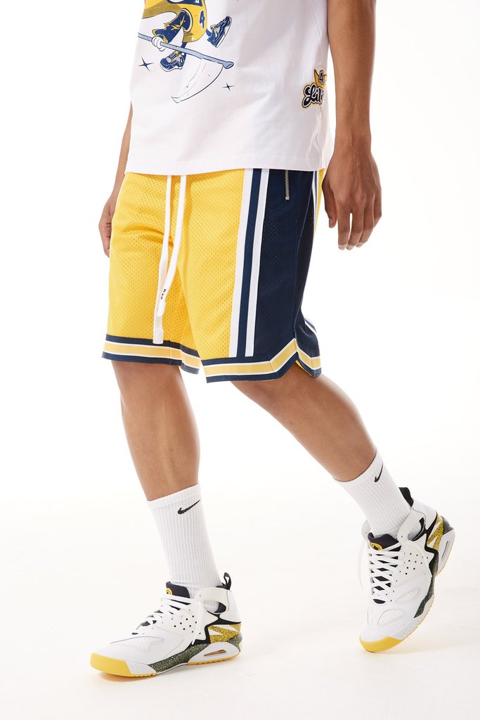 Men JORDAN CRAIG Rucker Basketball Shorts 3.0 NYC – Urban Appeal