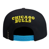 Men PRO STANDARD Chicago Bulls 3M Wool Snapback Hat