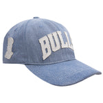 Men PRO STANDARD Chicago Bulls Varsity Blues Dad Hat