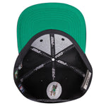 Men PRO STANDARD Boston Celtics Classic Logo Snapback Hat