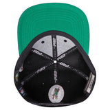 Men PRO STANDARD Boston Celtics Classic Logo Snapback Hat