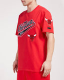 Men PRO STANDARD Chicago Bulls Script Tail SJ T-Shirt