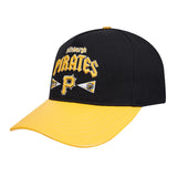 Men PRO STANDARD Pittsburgh Pirates City Tour Curve Wool Snapback