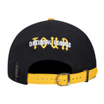 Men PRO STANDARD Pittsburgh Pirates City Tour Curve Wool Snapback