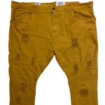 Big Men EVOLUTION In Design Wild Tiger Denim Pant