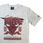 Men NEW ERA Chicago Bulls Retro Sport Classic T-Shirt