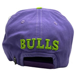 PRO STANDARD Chicago Bulls 2 Tone Snapback Hat