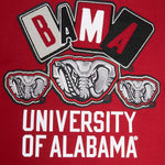 Men PRO STANDARD University Of Alabama Logo Pro Team Shirt