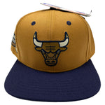 Men PRO STANDARD Chicago Bulls 2 Tone Stavali Snapback Hat