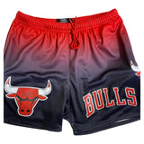 Men PRO STANDARD Chicago Bulls Short