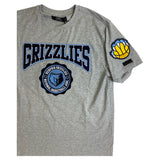 Men PRO STANDARD Memphis Grizzlies Logo Pro Team Shirt