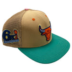 Men PRO STANDARD Chicago Bulls Retro Trucker Hat