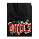 Men PRO STANDARD Chicago Bulls Short