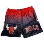 Men PRO STANDARD Chicago Bulls Short