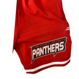 Men PRO STANDARD CAU Panthers Logo Short