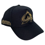 Men PRO STANDARD Colorado Avalanche Snapback Hat