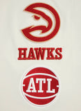 Men PRO STANDARD Atlanta Hawks Logo Pro Team Shirt