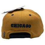 Men PRO STANDARD Chicago Bulls 2 Tone Stavali Snapback Hat