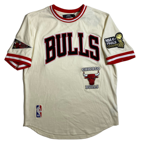 Men PRO STANDARD Chicago Bulls Mash Up Logo Team Shirt