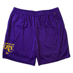 Men NEW ERA EXCLUSIVE Los Angeles Lakers Mesh Shorts