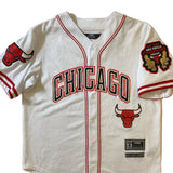 Men PRO STANDARD Chicago Bulls Jersey Shirt