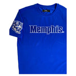 Men PRO STANDARD Memphis Grizzlies  Logo Pro Team Shirt