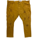 Big Men EVOLUTION In Design Wild Tiger Denim Pant