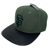 Men PRO STANDARD San Francisco Giants Strapback Hat