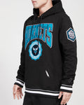 Men PRO STANDARD Charlotte Hornets Classic Hoodie