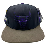 Men PRO STANDARD Chicago Bulls 2 Tones Snapback Hat