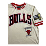 Men PRO STANDARD Chicago Bulls Mash Up Logo Team Shirt