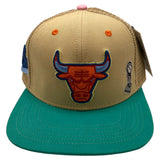 Men PRO STANDARD Chicago Bulls Retro Trucker Hat