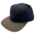 Men PRO STANDARD Chicago Bulls 2 Tones Snapback Hat