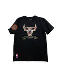 Men PRO STANDARD Chicago Bulls T-Shirt