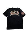 Men PRO STANDARD Chicago Bulls T-Shirt
