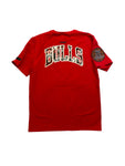 Men PRO STANDARD Chicago Bulls T-Shirt