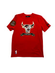 Men PRO STANDARD Chicago Bulls T-Shirt