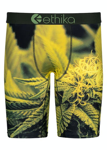 Men ETHIKA Green Haze Boxer