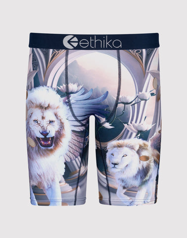 Men ETHIKA Heavenly Beast Boxer