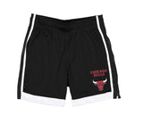 Men NEA ERA Chicago Bulls Summer Mesh Shorts