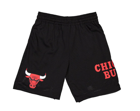 Mn NEW ERA EXCLUSIVE Chicago Bulls  Mesh Shorts