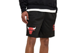 Mn NEW ERA EXCLUSIVE Chicago Bulls  Mesh Shorts