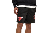 Mn NEW ERA EXCLUSIVE Chicago Bulls  Mesh Shorts