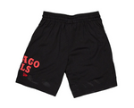 Mn NEW ERA EXCLUSIVE Chicago Bulls  Mesh Shorts