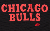 Mn NEW ERA EXCLUSIVE Chicago Bulls  Mesh Shorts