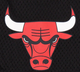 Mn NEW ERA EXCLUSIVE Chicago Bulls  Mesh Shorts