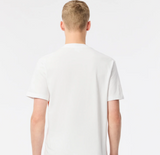 Men LACOSTE Cotton Colourblock  T-shirt