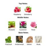 Taraf Bleu By Amaran Eau De Parfum 100 ML (3.4 FL OZ) Men