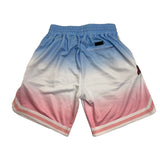 Men PRO STANDARD Atlanta Braves Logo Short