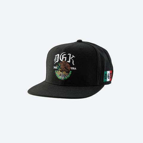 Men DGK Vivo Snapback Hat